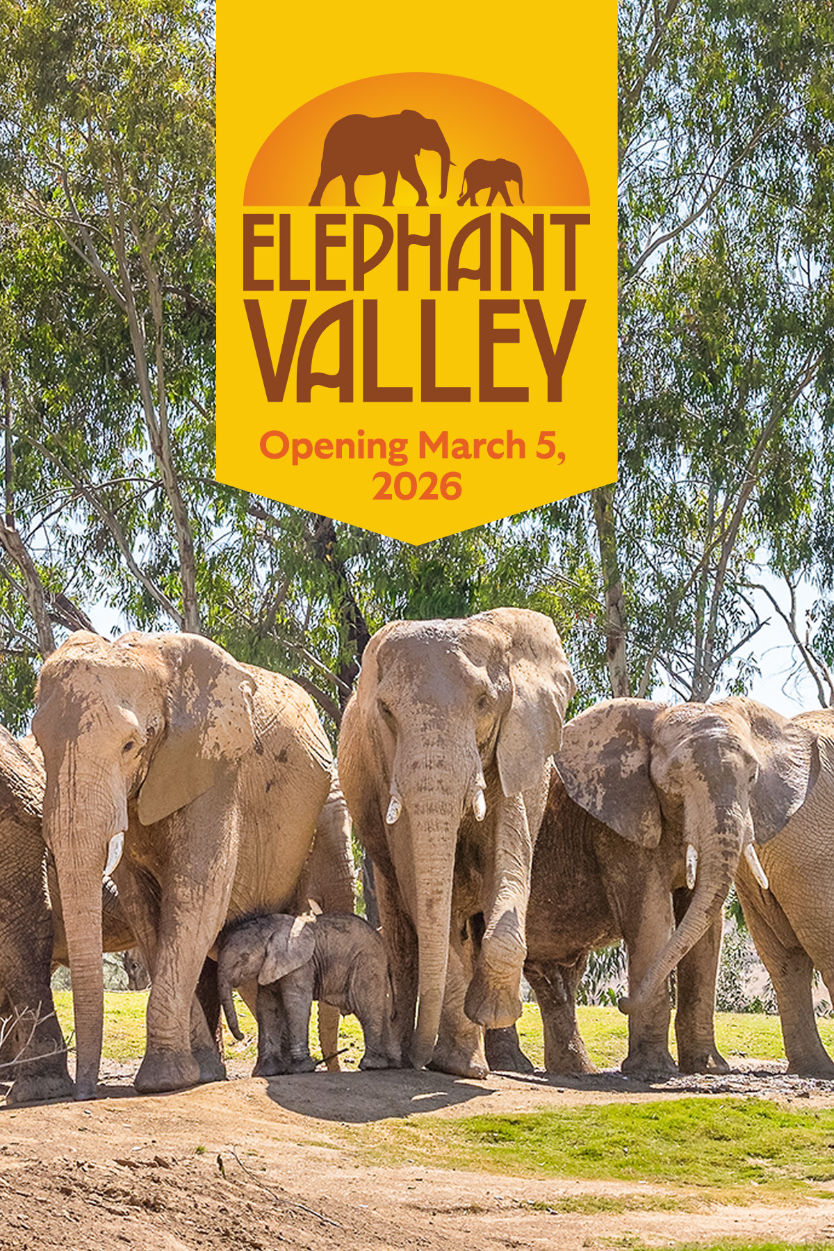Elephant Valley Opening March 5, 2026 - Image of elephant herd with tress in background